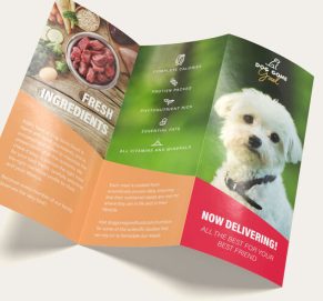 Brochures_Marketing_Materials_A